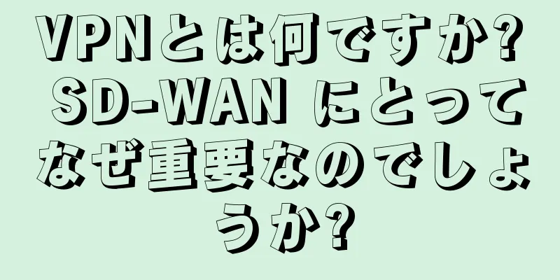VPNとは何ですか? SD-WAN にとってなぜ重要なのでしょうか?