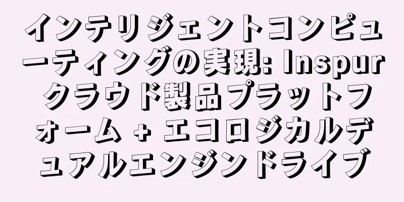 インテリジェントコンピューティングの実現: Inspur クラウド製品プラットフォーム + エコロジカルデュアルエンジンドライブ