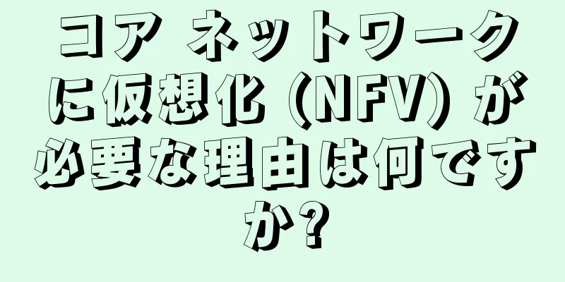 コア ネットワークに仮想化 (NFV) が必要な理由は何ですか?
