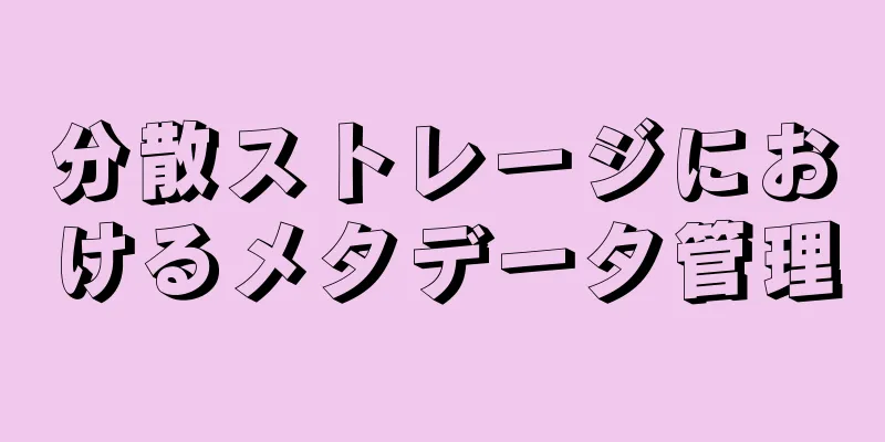 分散ストレージにおけるメタデータ管理