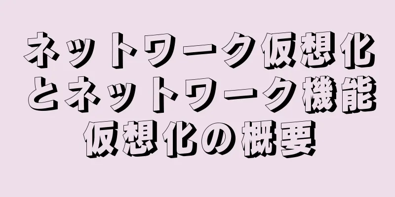 ネットワーク仮想化とネットワーク機能仮想化の概要