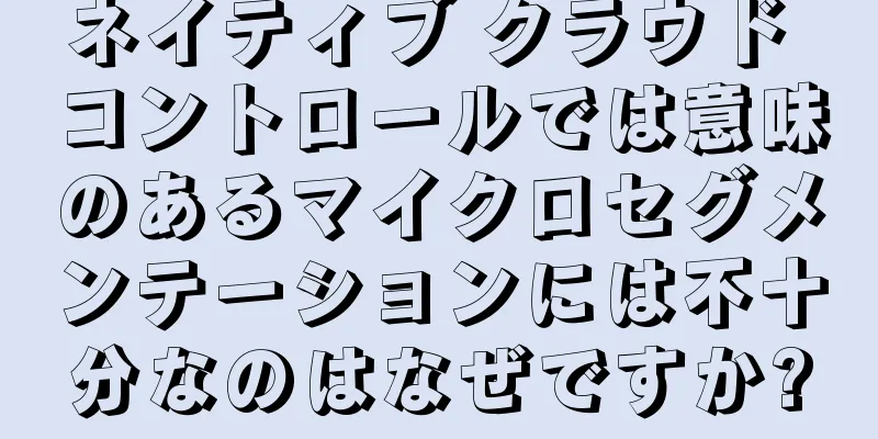 ネイティブ クラウド コントロールでは意味のあるマイクロセグメンテーションには不十分なのはなぜですか?