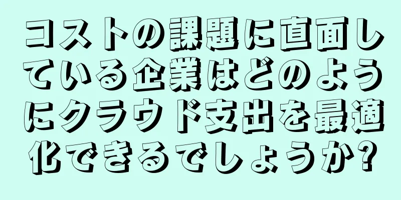 コストの課題に直面している企業はどのようにクラウド支出を最適化できるでしょうか?
