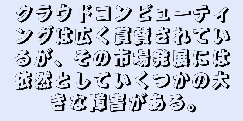 クラウドコンピューティングは広く賞賛されているが、その市場発展には依然としていくつかの大きな障害がある。