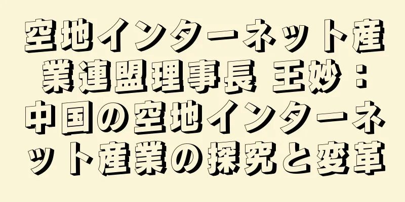空地インターネット産業連盟理事長 王妙：中国の空地インターネット産業の探究と変革