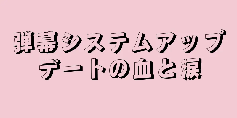 弾幕システムアップデートの血と涙