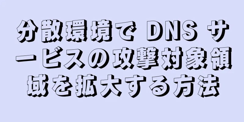 分散環境で DNS サービスの攻撃対象領域を拡大する方法