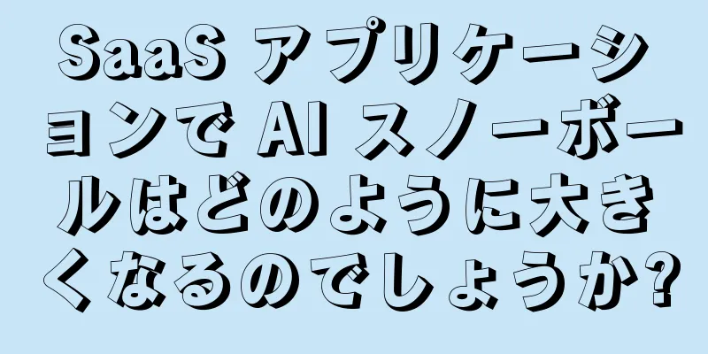 SaaS アプリケーションで AI スノーボールはどのように大きくなるのでしょうか?