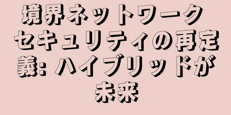 境界ネットワーク セキュリティの再定義: ハイブリッドが未来