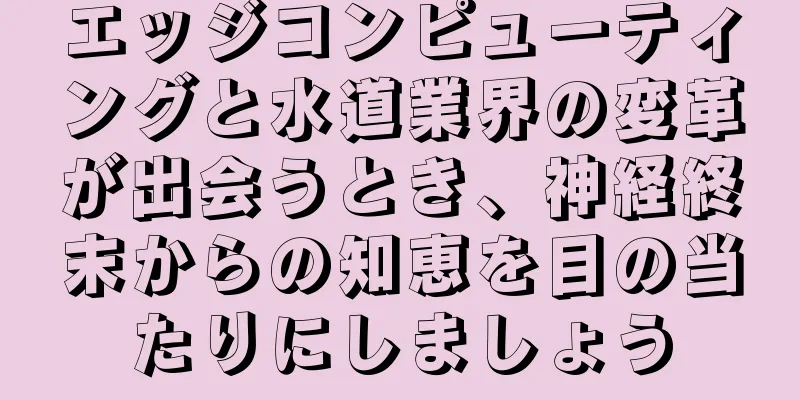 エッジコンピューティングと水道業界の変革が出会うとき、神経終末からの知恵を目の当たりにしましょう