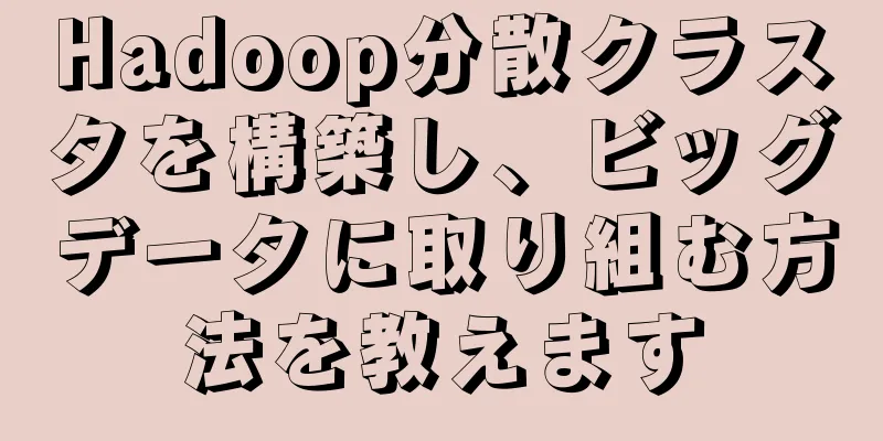 Hadoop分散クラスタを構築し、ビッグデータに取り組む方法を教えます