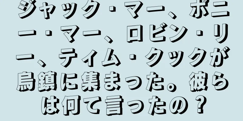 ジャック・マー、ポニー・マー、ロビン・リー、ティム・クックが烏鎮に集まった。彼らは何て言ったの？