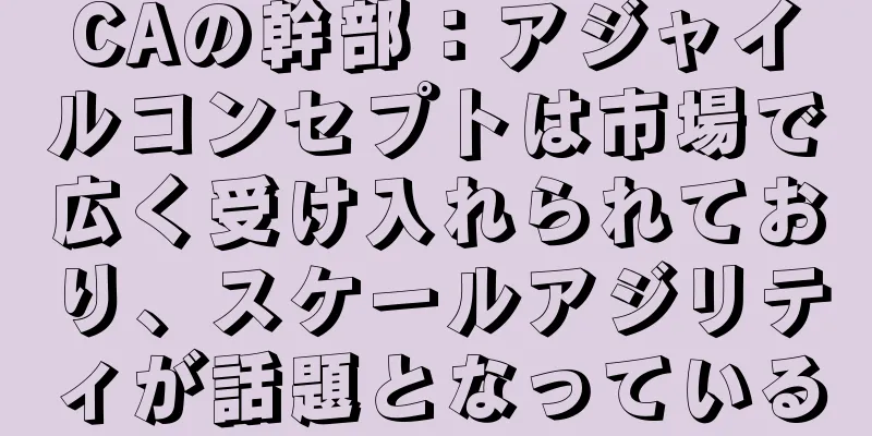 CAの幹部：アジャイルコンセプトは市場で広く受け入れられており、スケールアジリティが話題となっている