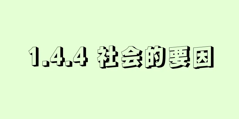 1.4.4 社会的要因