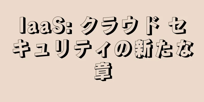 IaaS: クラウド セキュリティの新たな章