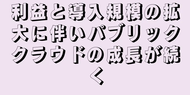 利益と導入規模の拡大に伴いパブリッククラウドの成長が続く