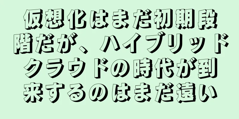 仮想化はまだ初期段階だが、ハイブリッドクラウドの時代が到来するのはまだ遠い