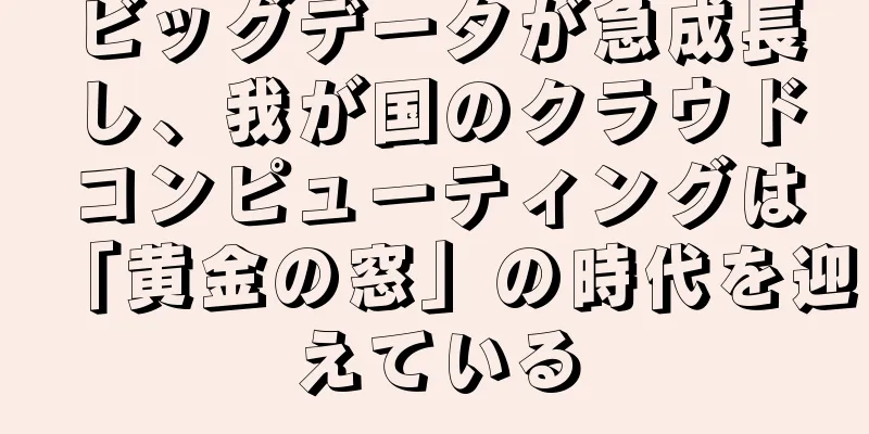 ビッグデータが急成長し、我が国のクラウドコンピューティングは「黄金の窓」の時代を迎えている