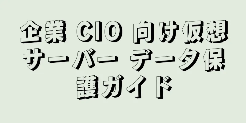 企業 CIO 向け仮想サーバー データ保護ガイド