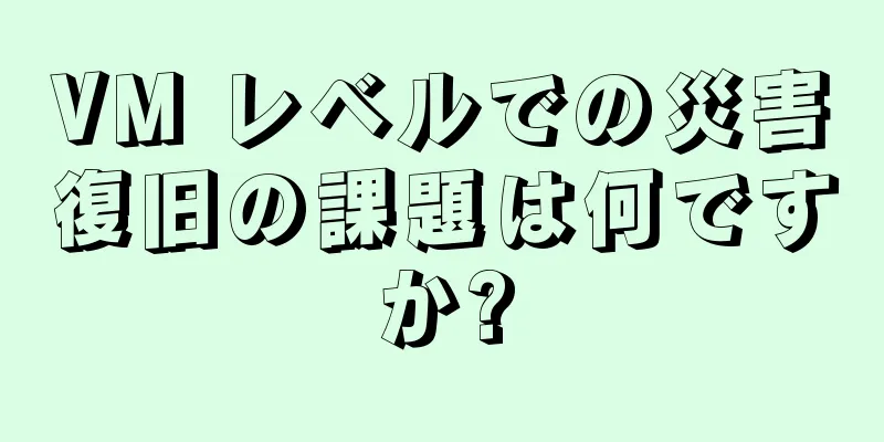 VM レベルでの災害復旧の課題は何ですか?