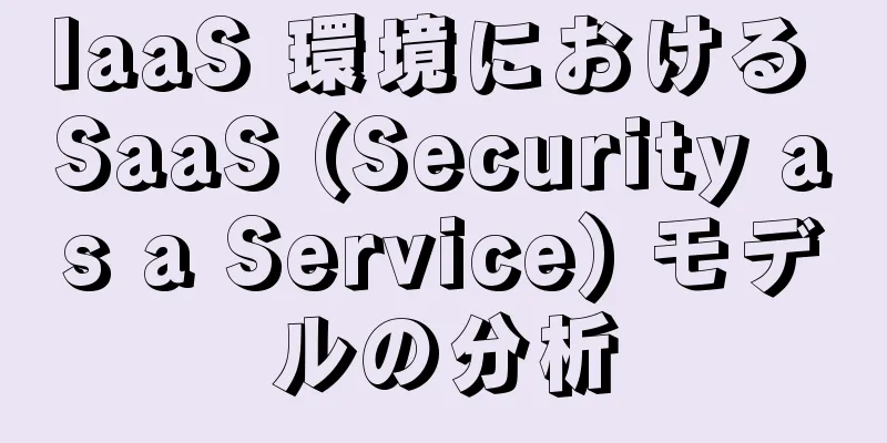 IaaS 環境における SaaS (Security as a Service) モデルの分析
