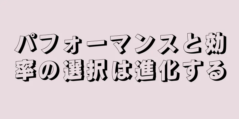 パフォーマンスと効率の選択は進化する