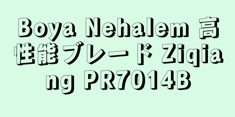 Boya Nehalem 高性能ブレード Ziqiang PR7014B