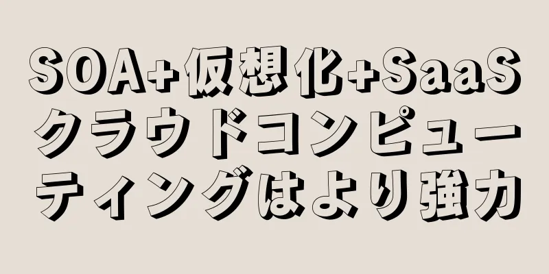 SOA+仮想化+SaaSクラウドコンピューティングはより強力