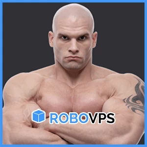 RoboVPS：德国或荷兰的卢布计价虚拟机，每月仅需 1.67 美元起！