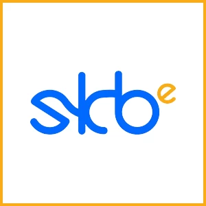 SKB Enterprise 在荷兰提供 2GB VPS，每月仅需 3.99 欧元！