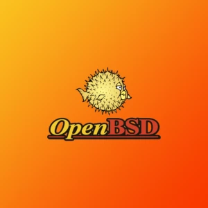 让我们尝试 BSD，第 5 部分（共 7 部分）：在 OpenBSD 上设置 Nginx + WordPress！快完成了！