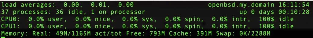 OpenBSD Top