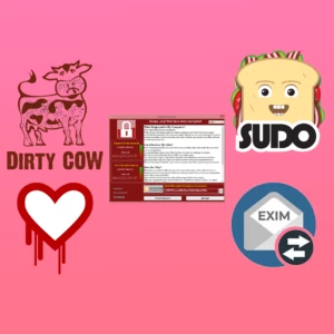 五次更新操作系统就能避免被黑客攻击