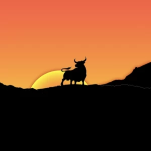 如何立即将域名从 InternetBS.net 转移出去，无需等待