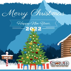 Solid SEO VPS祝您新年快乐：每月仅需40美元的超值独立服务器和每月5美元的超值无限带宽Windows VPS优惠！