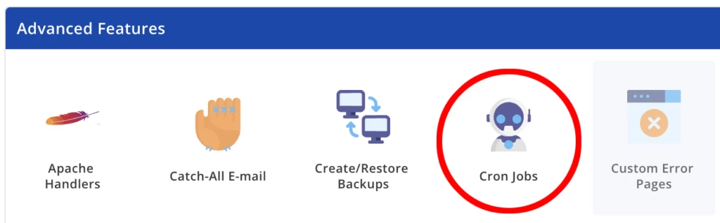 DirectAdmin 定时任务