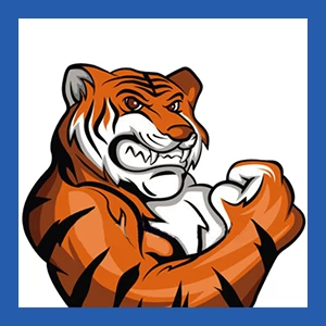 在土耳其伊斯坦布尔，通过 Hostigger 获得 8GB 的​​廉价 VPS，每月仅需 5.99 美元！