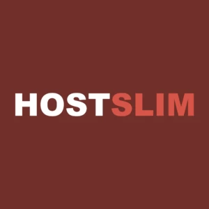 HostSlim：在荷兰或爱沙尼亚获取价格低廉的 10Gbps 专用服务器或 VPN！