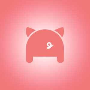 命令行 DNS：在 Shell 脚本中使用 Porkbun API