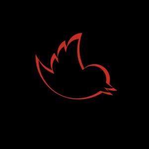 推特：你容易受到攻击吗？